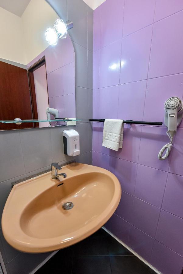 Pensiunea Vanessa Făgăraş Esterno foto