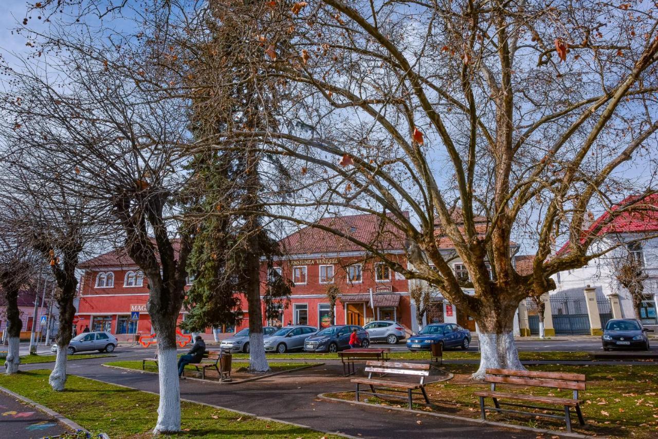 Pensiunea Vanessa Făgăraş Esterno foto